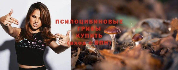 дмт Балабаново