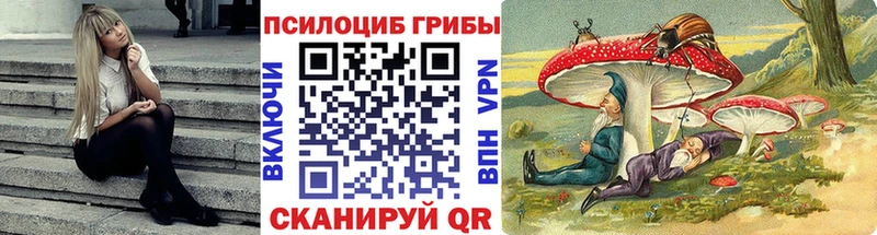 Галлюциногенные грибы прущие грибы  дарк нет формула  Петропавловск-Камчатский 