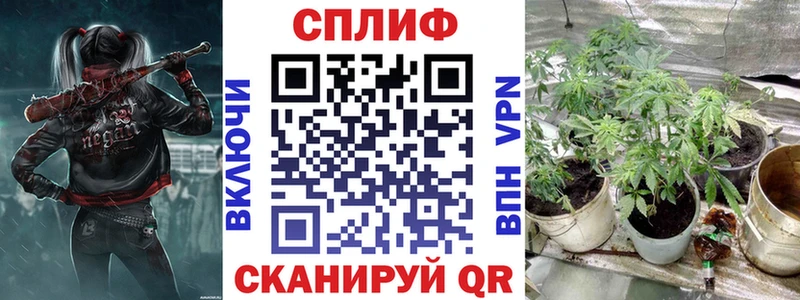 купить   Петропавловск-Камчатский  Бошки Шишки OG Kush 